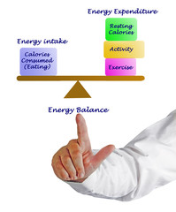 Balance between Energy intake and Energy expenditure
