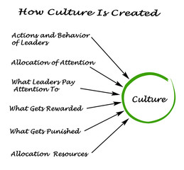 How Culture Is Created