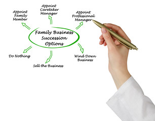 Family Business Succession Options