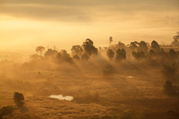misty morning sunrise in forest at Khao Takhian Ngo View Point a