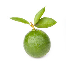 Citrus lime fruit isolated on white background..