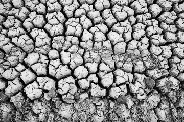 Land with dry and cracked ground. Desert