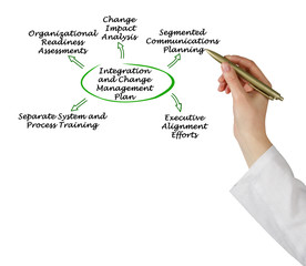 Integration and Change Management Plan