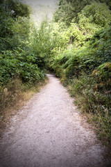 Obraz premium Trail in the countryside