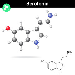Serotonin molecular structure