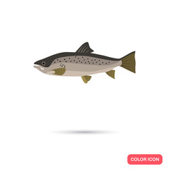 Salmon color flat icon
