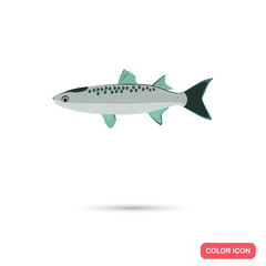 Fototapeta na wymiar Mullet fish color flat icon