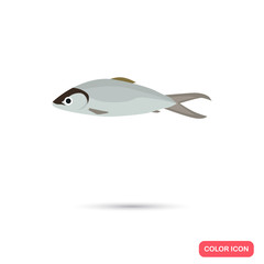Seabass color flat icon