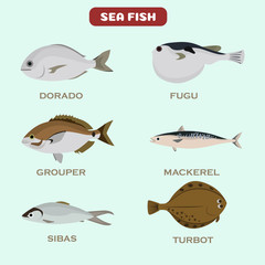 Set of color flat sea fish color icons. Flat design