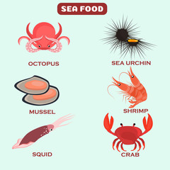 Set of color flat sea food color icons. Flat design