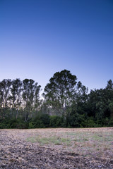 Trail in the countryside