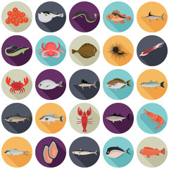 Set of color flat sea food and fish color icons. Flat design