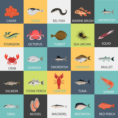 Set of color flat sea food and fish color icons. Flat design