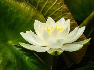 one