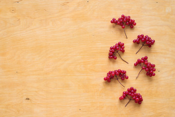 Red berries of viburnum on wood