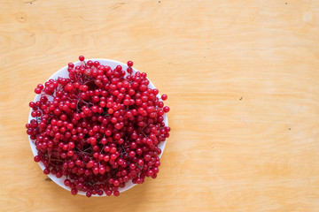Red berries of viburnum on a plate