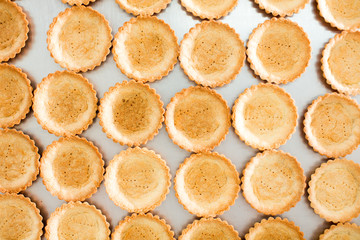 Round shortbread biscuits in rows.