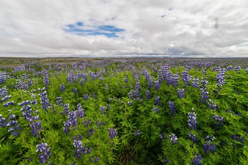 Landscapes of Iceland