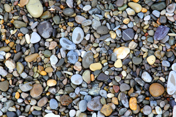 Sea stones background Nature Sea eco River
