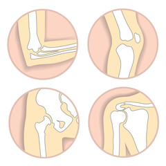 Set of human joints, elbow, knee joint, hip and shoulder joint, skeletal bone structure. Emblem anatomy and orthopedic sign for medical diagnostic center, vector illustration.