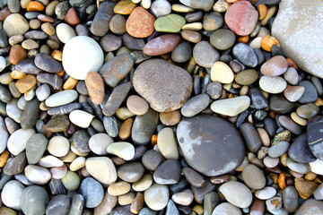 Sea stones background Nature Sea eco River
