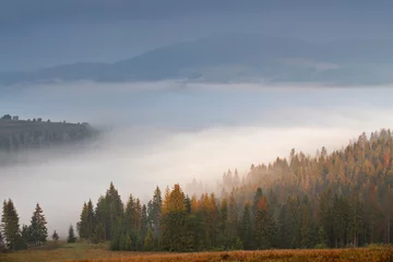 Papier Peint photo Lavable Forêt dans le brouillard Matin brumeux d& 39 automne septembre dans les montagnes
