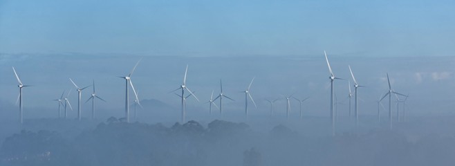 Landscape with wind turbines in the morning fog