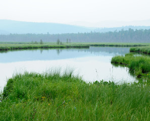 early misty morning at the lake