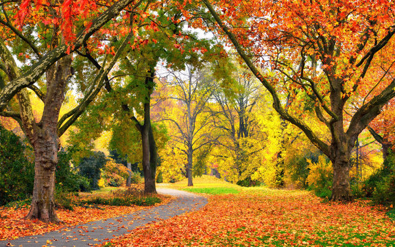 Park im Herbst in freundlich warmen Farben