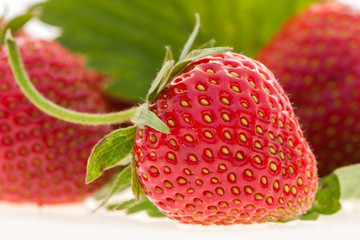 Fresh strawberry studio macro picture