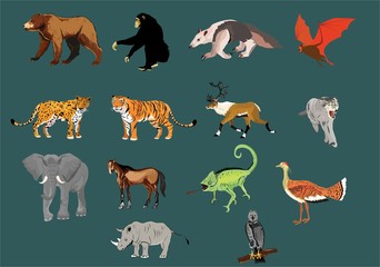 Big wild animals and birds vector set isolated vector illustration.