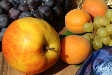 Gesunde Ernährung