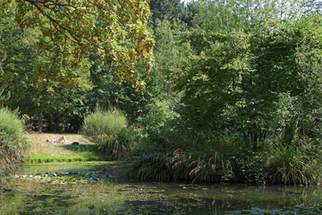 Bois de Vincennes en &eacute;t&eacute;