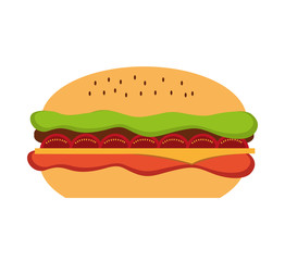 delicious hamburger fast food icon vector illustration design
