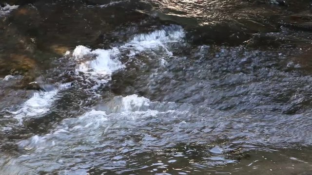 chute 