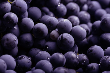 Red wine grape. Dark grapes background.