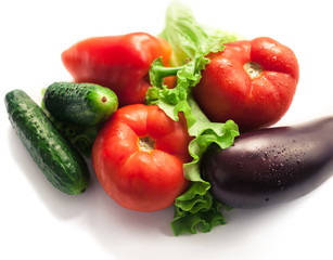 Fresh organic vegetables. Autumn vegetables. Harvesting. Ingredients for the salad. Lettuce, tomatoes, cucumbers, zucchini, eggplant, peppers, chillies.