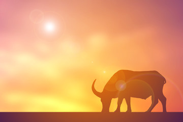 Obraz premium Silhouette buffalo on sunset