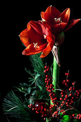 Christmas bouquet