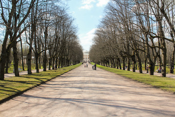 Fototapeta na wymiar The central road in the park.