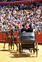 Exhibition of horse carriages in the bullring in Seville, Spain