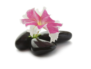 Spa with black stones