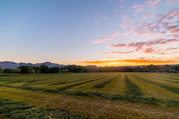 Sunrise over Utah fields.