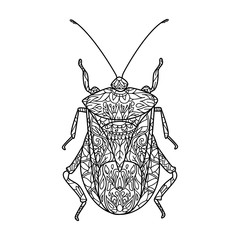 Contour Bug Vector illustration