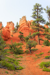 Red canyon panorama, Utah, USA