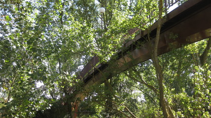 Puentes