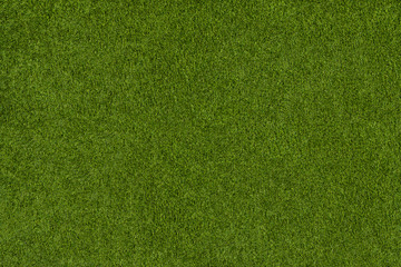 Background from green grass