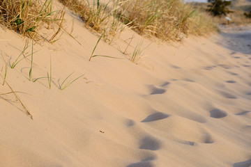Big Sable Point Dunes