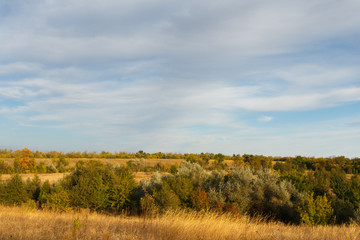 Obraz premium Autumn landscape of the wood