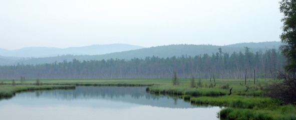 misty morning on the lake. early summer morning. drizzling rain. forest on the lake. photo toned.soft focus